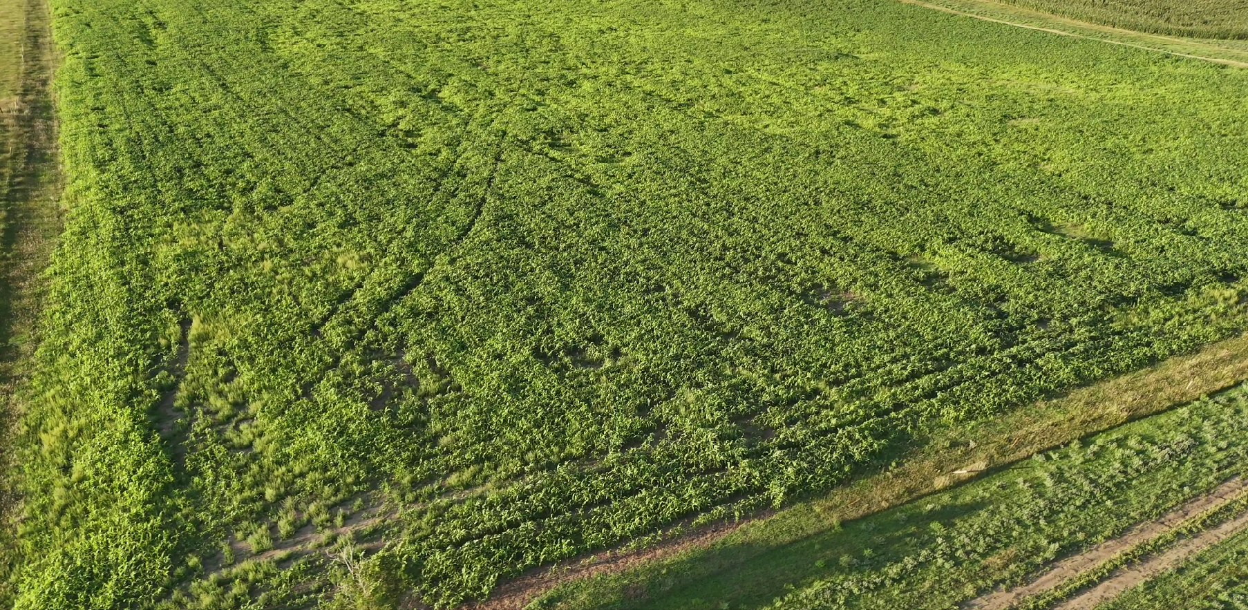 160± Acres of Central South Dakota Land – Offered Live Onsite & Online — Burke, SD real estate photo thumbnail 2