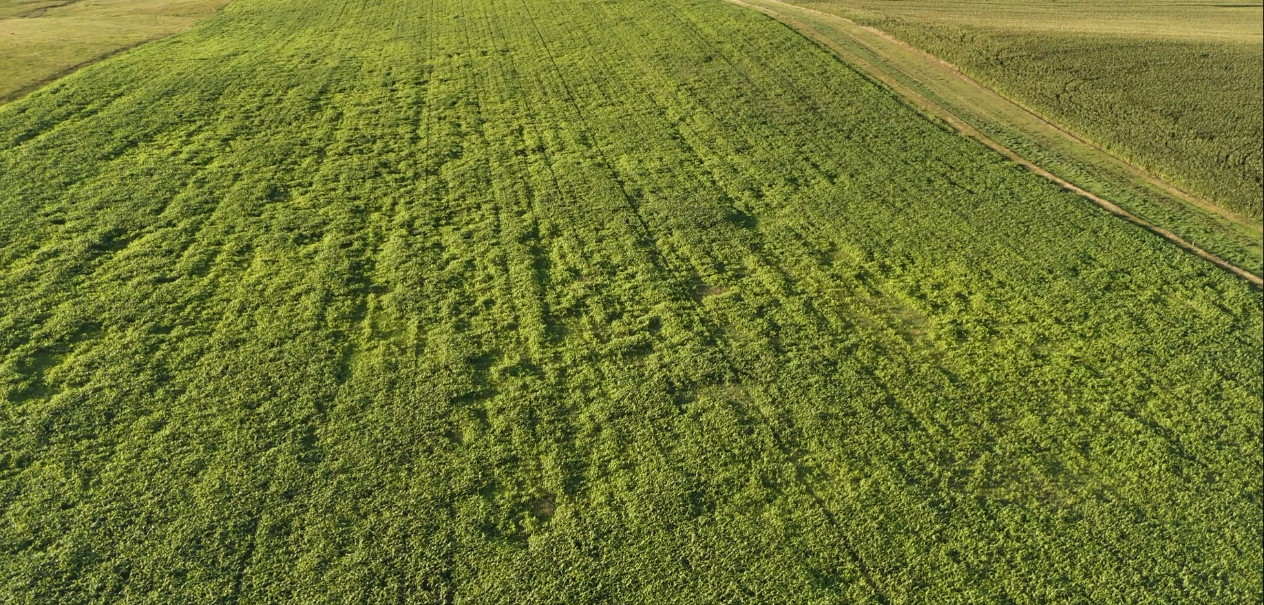 160± Acres of Central South Dakota Land – Offered Live Onsite & Online — Burke, SD real estate photo thumbnail 3