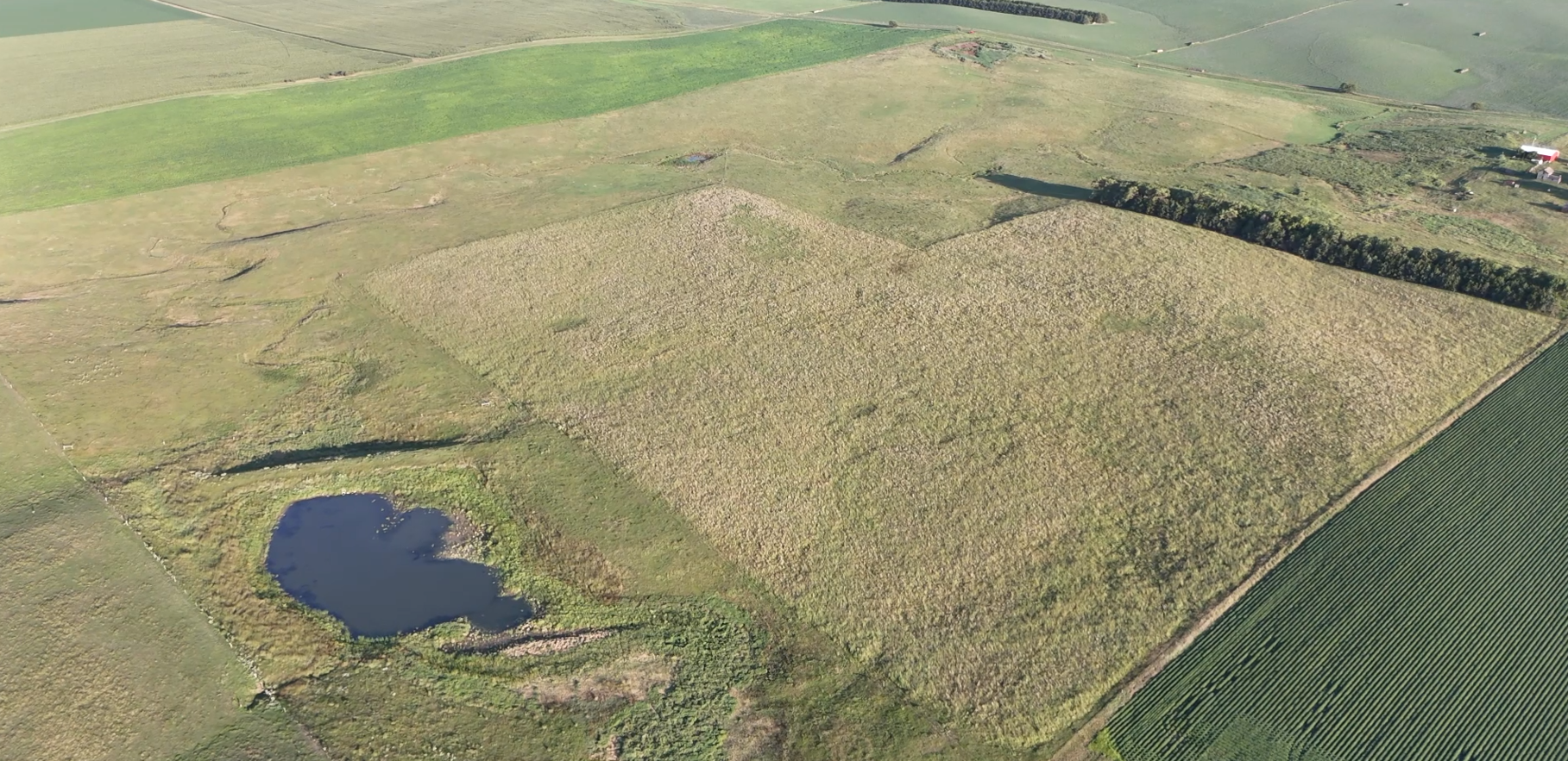 160± Acres of Central South Dakota Land – Offered Live Onsite & Online — Burke, SD real estate photo thumbnail 4