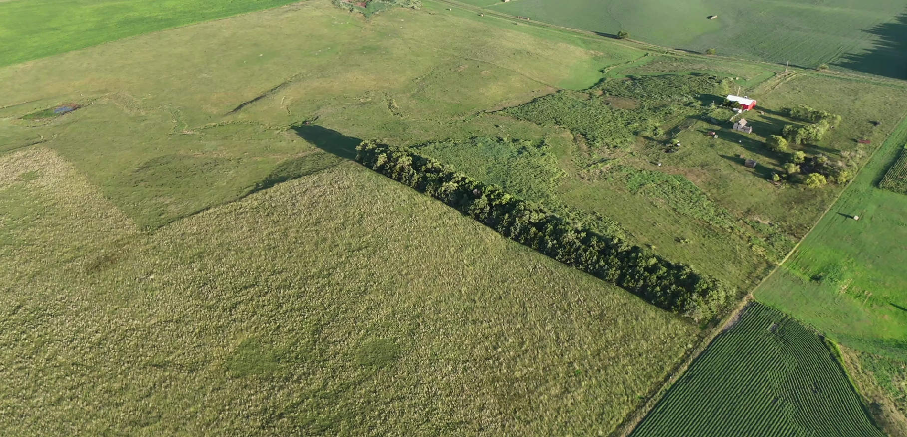 160± Acres of Central South Dakota Land – Offered Live Onsite & Online — Burke, SD real estate photo thumbnail 5