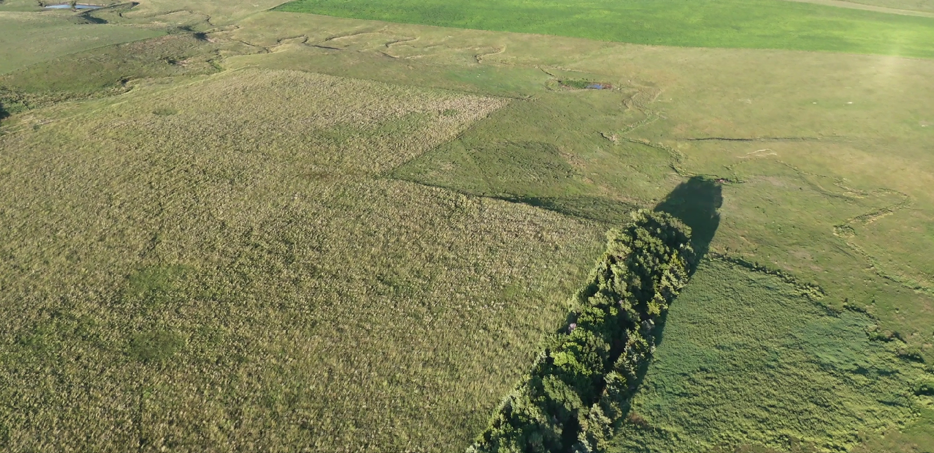 160± Acres of Central South Dakota Land – Offered Live Onsite & Online — Burke, SD real estate photo thumbnail 6