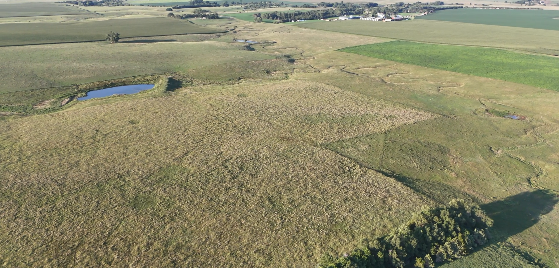 160± Acres of Central South Dakota Land – Offered Live Onsite & Online — Burke, SD real estate photo thumbnail 7