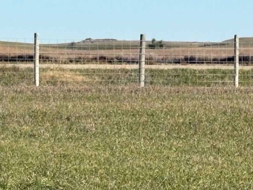 Split Level Home on 20 Acres with Machine Shed — Winner, SD real estate photo thumbnail 27